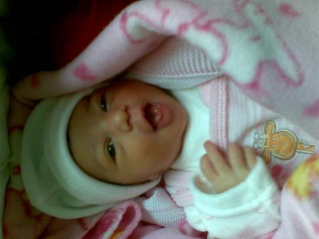 ���� ��� ��� ������ �������